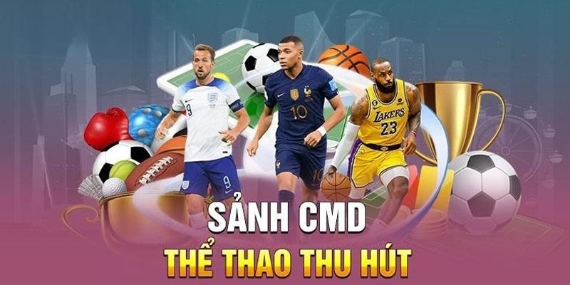 Nhà cung cấp CMD uy tín chất lượng